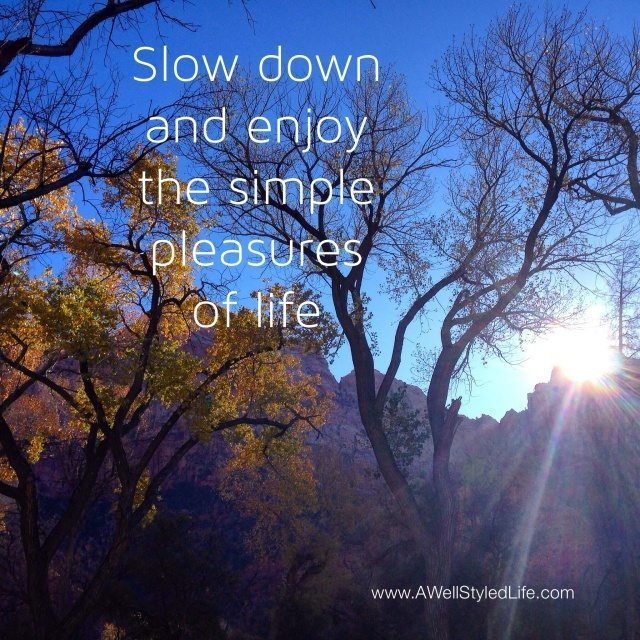 www.awellstyedlife.com