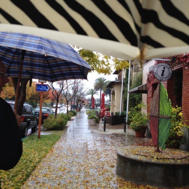 Rainy streets of Yountville