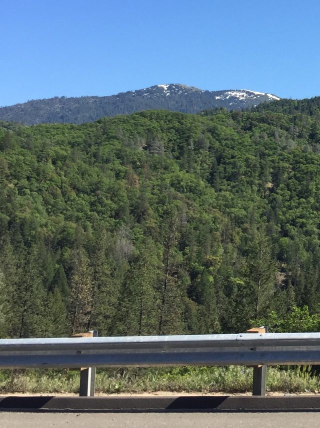 Driving through Humboldt County