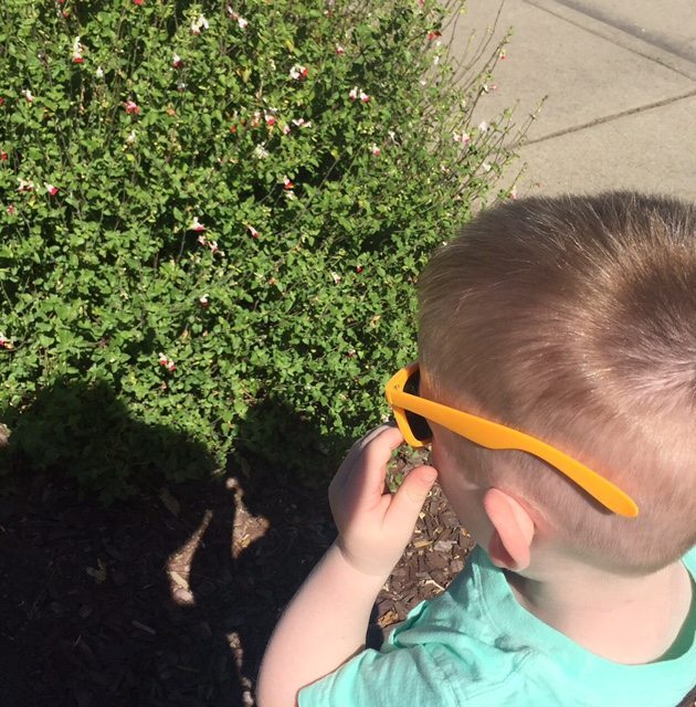 Crayons and Peanut Butter: Reminders of Simple Pleasures