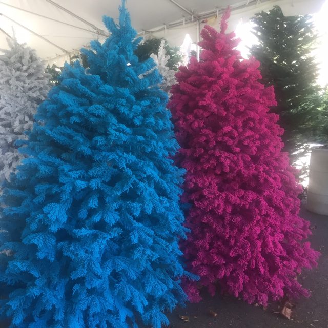 Dressing for Holiday Shopping