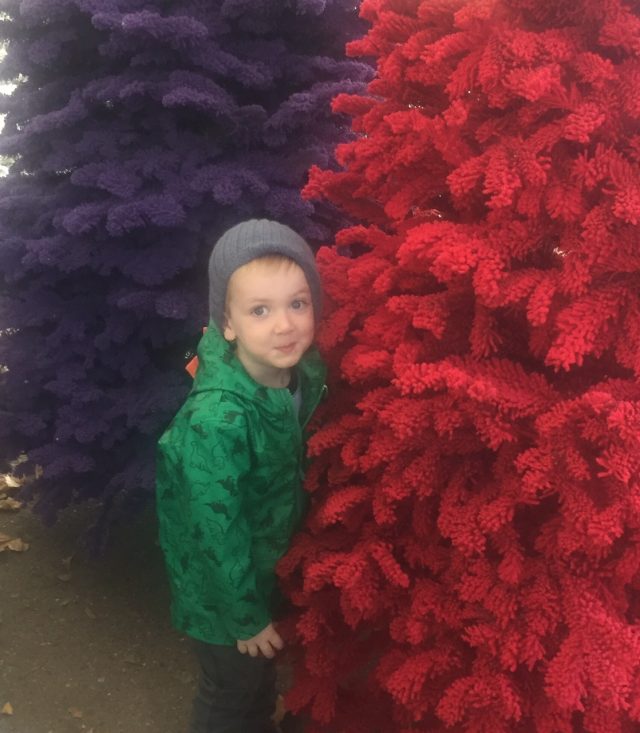 Red and purple flocked Christmas trees