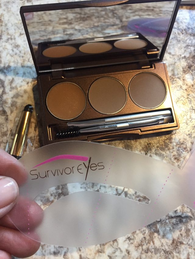 Survivor Eyes Eyebrow kit
