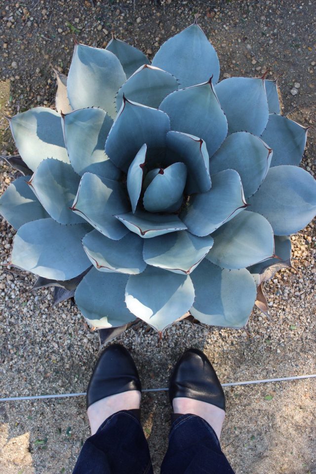Eieen Fisher shoes at the Annenberg Estate
