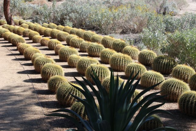 the gardens at the Annenberg Estate