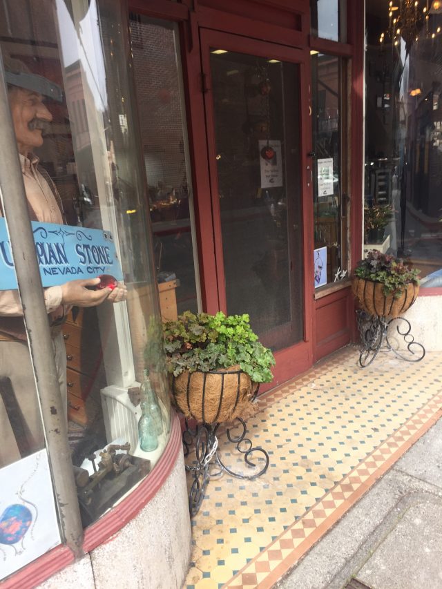 nevada city, CA