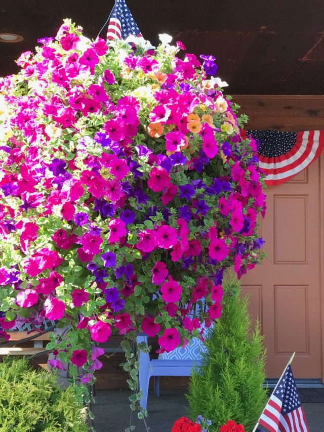 holiday decor for the 4th of July