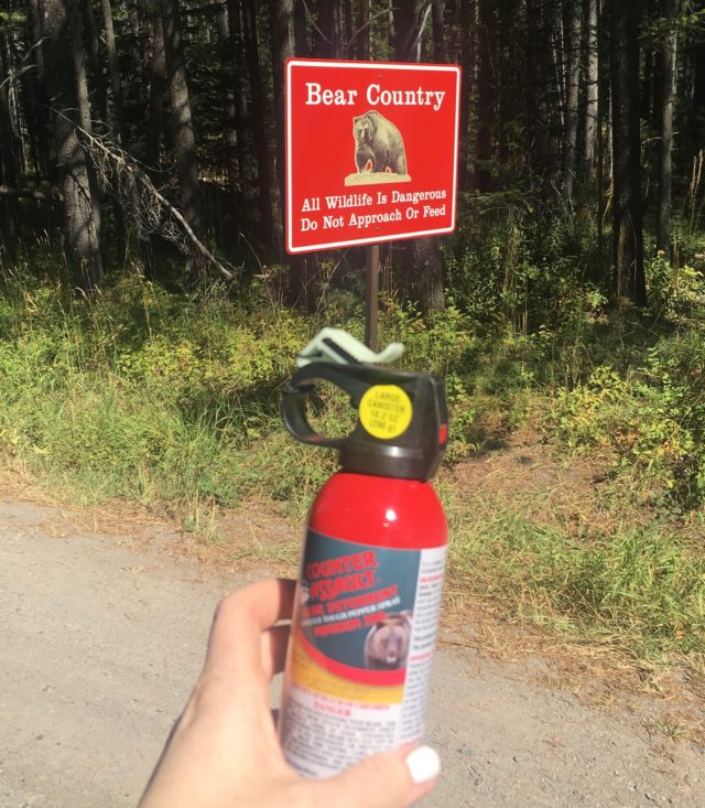 bear spray at Glacier national Park