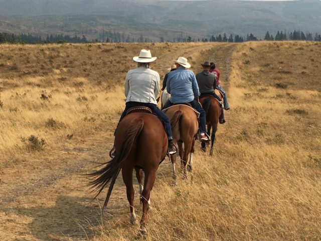 Jennifer Connolly of A Well Styled Life riding horse in Montana
