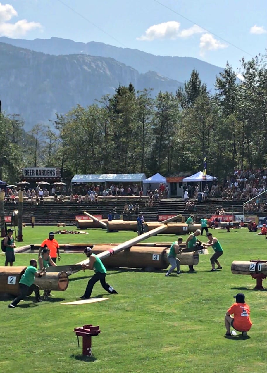 loggers in green field sawing huge logs with hand saws