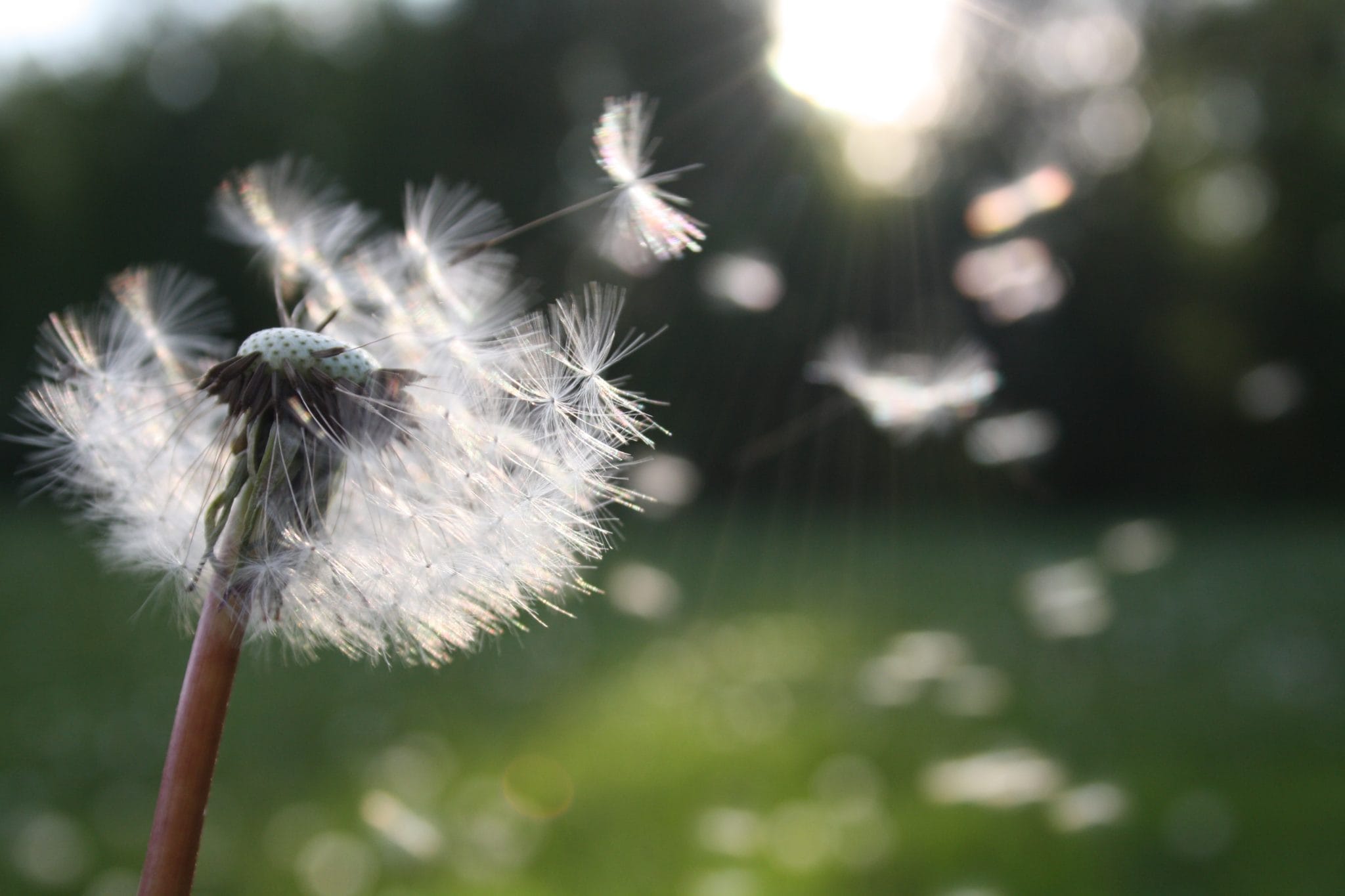 Monday Musings- A Surprising Diagnosis