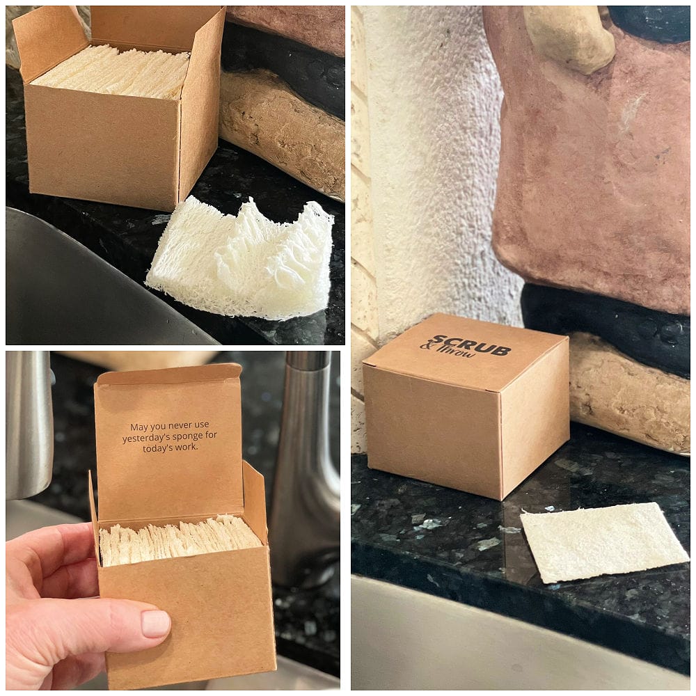 scrub and throw sponges