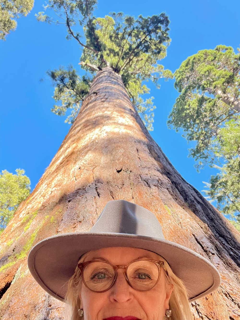 woman in front of giant sequoia tree