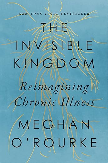 The Invisible Kingdom Reimagining Chronic Illness